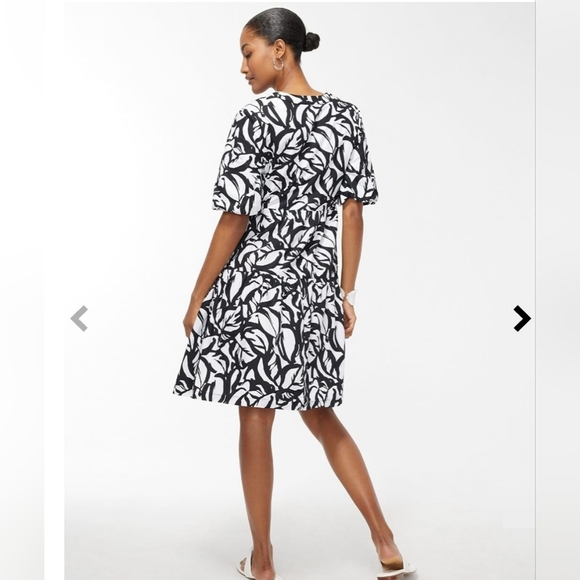 Black And White Poplin Dress - Picture 2 of 6